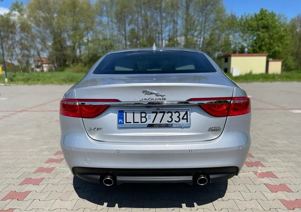 Jaguar XF cena 89000 przebieg: 93000, rok produkcji 2018 z Lubartów małe 781